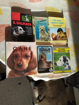 Lotto libri sul cane , cinofilia