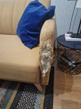 Sofá Cama Tela mostaza