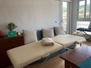 Camilla de fisioterapia plegable Mobiclinic