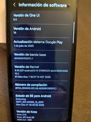 Samsung Galaxy A53 5G Negro