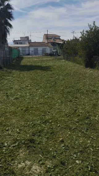 Se acen mantenimientos de huertos..fincas y jardin