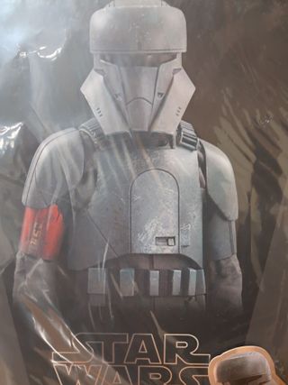 Star Wars Hot Toys TMS 030 Transport Trooper