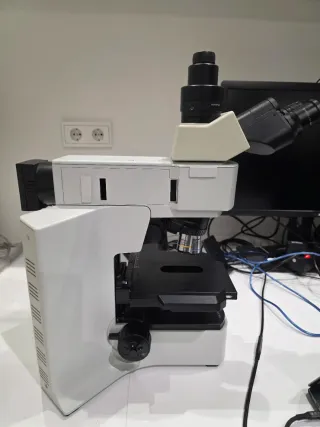 Microscopio Olympus BX41M