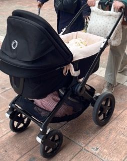 Bugaboo Fox 3 + Minicoton+ Bugaboo accesorios