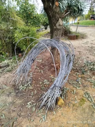 Arquillos  invernadero