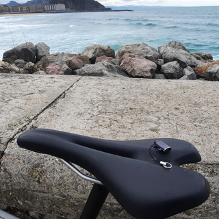 Adaptador USB-C para Garmin + Cordón-Carga y Datos