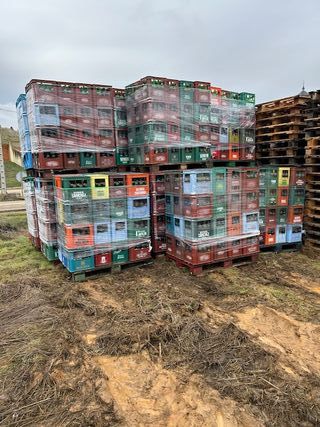 10.000 Botellas 3/4 L. en Cajas Plástico
