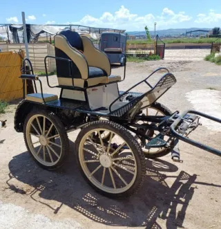 Coche de caballos maratón