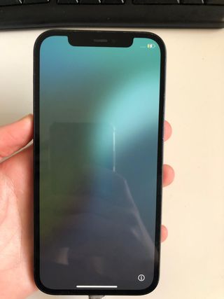 iPhone 12 128GB Negro