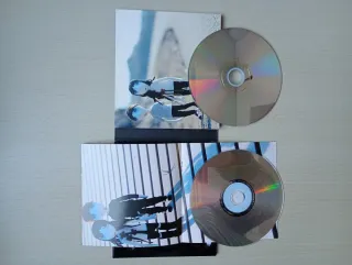 CD Amaral "Pájaros en la cabeza"