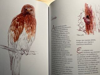 Colección de libros sobre aves.