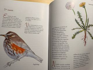 Colección de libros sobre aves.
