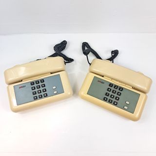 Lotto 2 Telefoni SIP da Tavolo Beige/Grigio