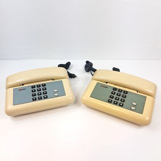 Lotto 2 Telefoni SIP da Tavolo Beige/Grigio