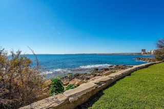 Estudio en alquiler en Playa del Cura en Torrevieja