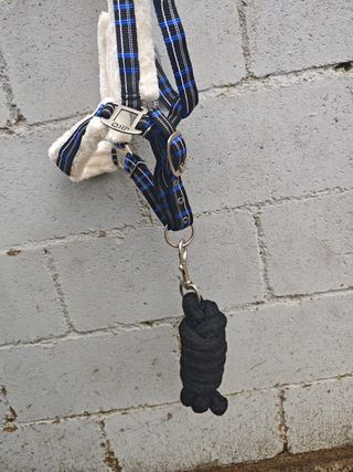 CABEZADA CUADRA BORREGUILLO + RAMAL NUEVA SIN USO