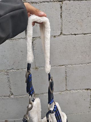 CABEZADA CUADRA BORREGUILLO + RAMAL NUEVA SIN USO