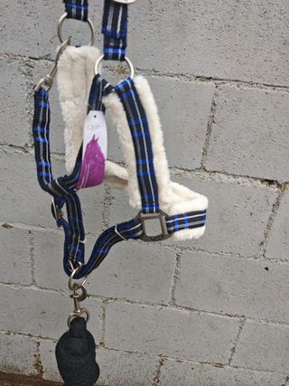 CABEZADA CUADRA BORREGUILLO + RAMAL NUEVA SIN USO