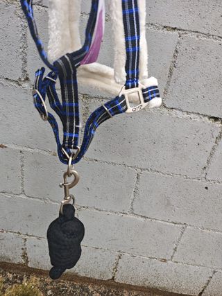 CABEZADA CUADRA BORREGUILLO + RAMAL NUEVA SIN USO