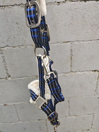 CABEZADA CUADRA BORREGUILLO + RAMAL NUEVA SIN USO