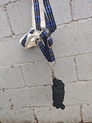 CABEZADA CUADRA BORREGUILLO + RAMAL NUEVA SIN USO