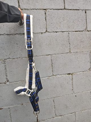 CABEZADA CUADRA BORREGUILLO + RAMAL NUEVA SIN USO