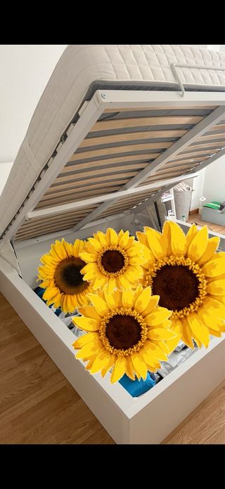 Canapé abatible madera blanco (sin colchón)