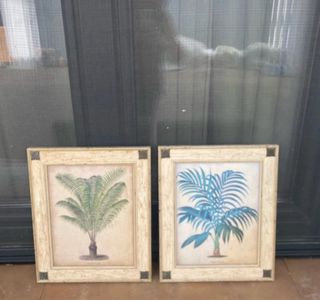 2 Cuadros Decorativos Palmeras