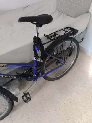 Bicicleta América Campo Azul