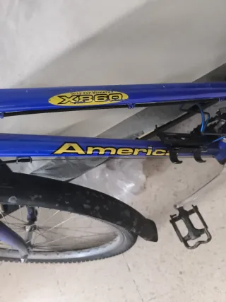 Bicicleta América Campo Azul