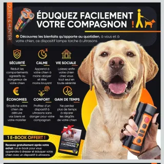 Dispositivo Antiladridos Perros Negro/Naranja