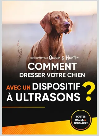 Dispositivo Antiladridos Perros Negro/Naranja