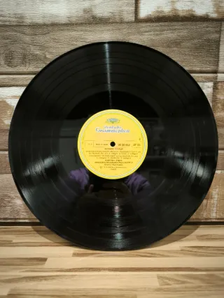 Vinilo Antonio Vivaldi Concerti con Organo