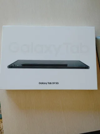 Samsung Galaxy Tab S9 5G Negro/Plata 128 Gb