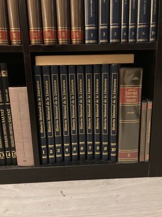 GRAN ESPASA UNIVERSAL/HIST. UNIVERSAL LITERATURA