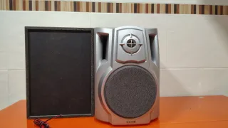 Altavoces Aiwa SX-NS222