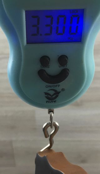 IBANEZ AS53-TF 5B-05