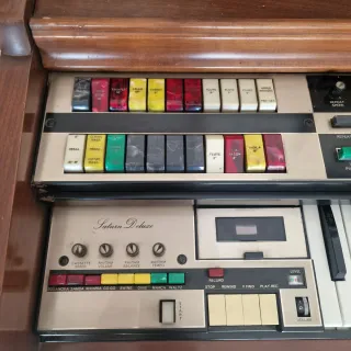 Órgano Vintage Lowrey Saturn Delux Leslie