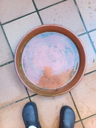 2 Platos  grandes XL para macetas, terracota.