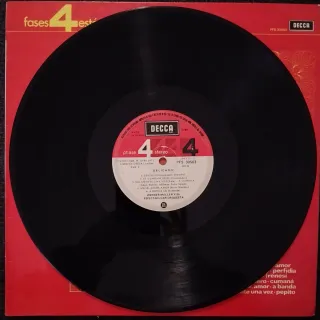 Vinilo Werner Müller Delicado