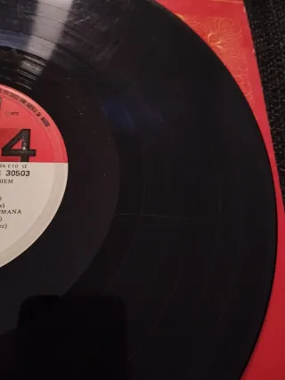 Vinilo Werner Müller Delicado