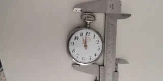 Orologio da taschino Roskoph