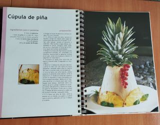 Libro de recetas Termomix TM31