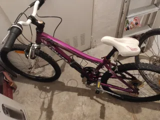 Bicicleta Couler 18 velocidades Morada