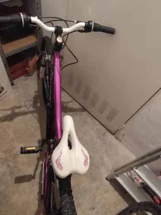 Bicicleta Couler 18 velocidades Morada