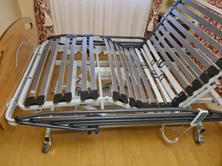 Cama articulada eléctrica con carro elevador.