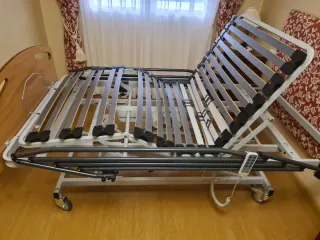 Cama articulada eléctrica con carro elevador.