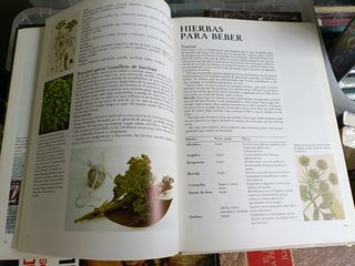ENCICLOPEDIA DE LAS HIERBAS