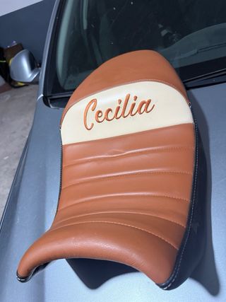 Asiento Reducido BMW F750GS 2023