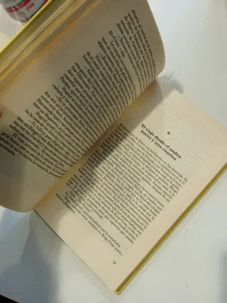 Harry Potter Y La Piedra Filosofal